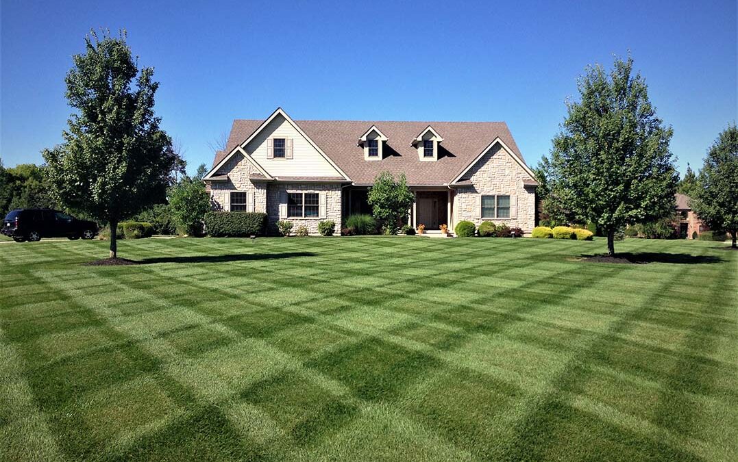 How to have a healthy green lawn near Franklin, OH with KW Landscaping.