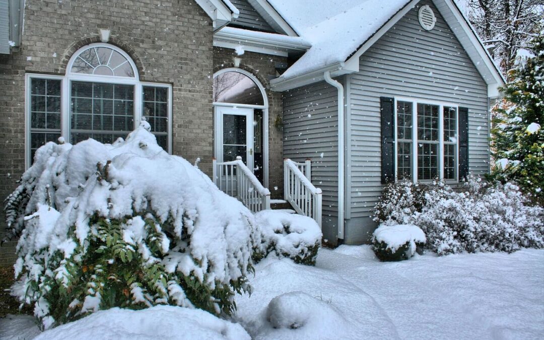 Winter Landscape Damage & Solutions